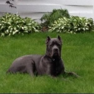 Meet your Posher, Jon